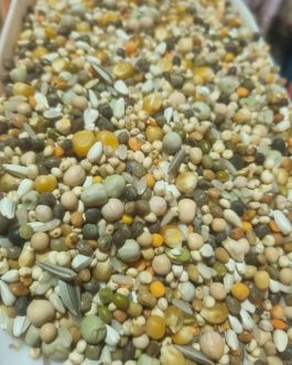 BIRDIN KARIŞIK LÜKS GÜVERCİN YEMİ 20KG KIRMIZI ÇUVAL