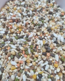 Bırdın Ultra Lüx Bezelyesiz MAVİ ÇUVAL Güvercin Yemi 20KG