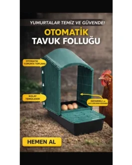 OTOMATİK TAVUK FOLLUĞU
